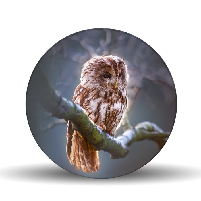 Moonlight Owl <br>Glass Table Spinner 17.75"