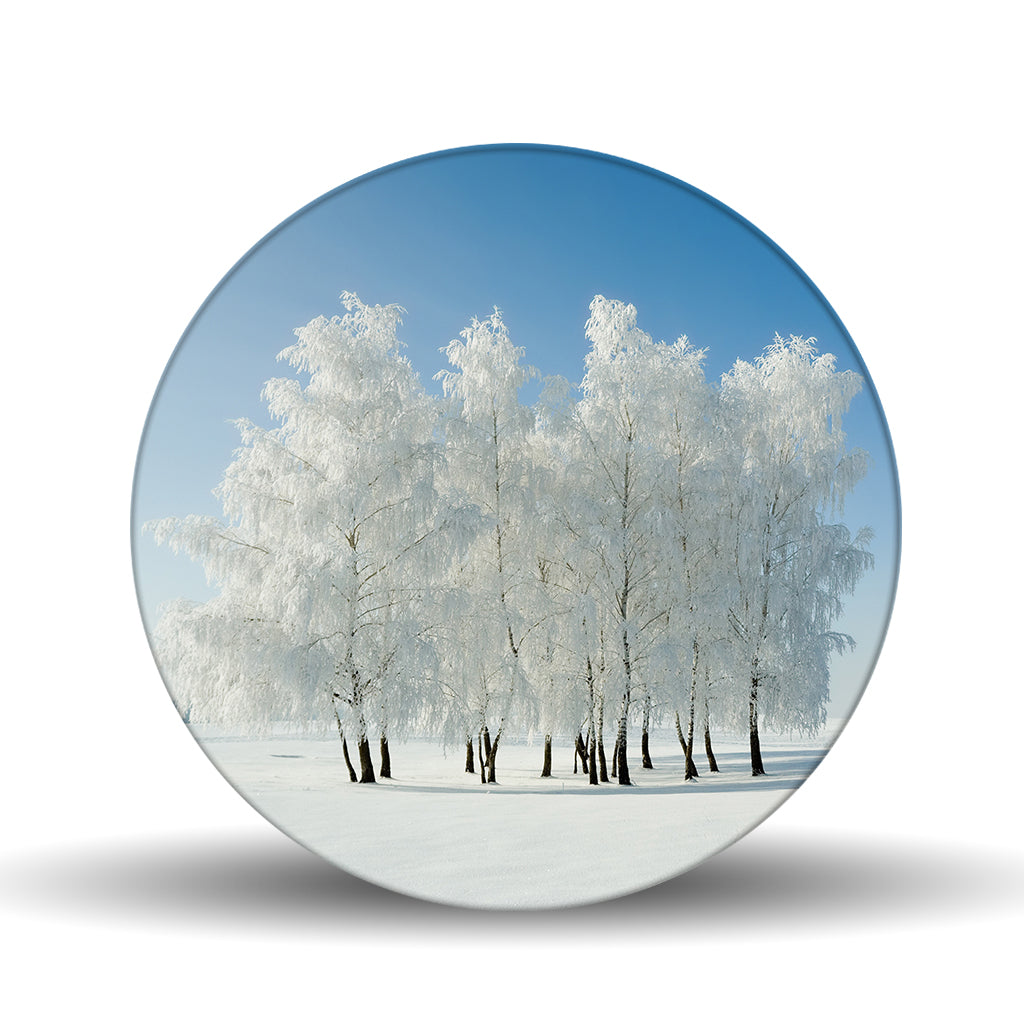 Winter Collection